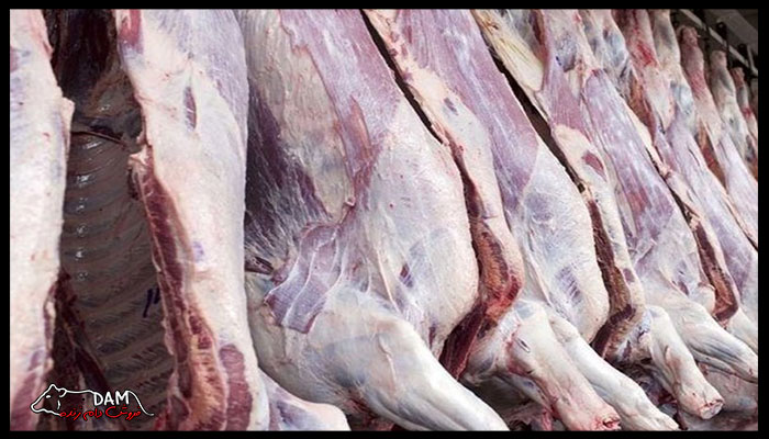 فواید گوشت گوسفندی برای سلامت انسان