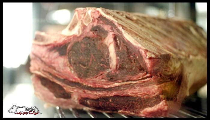 علائم فاسد شدن گوشت چیست